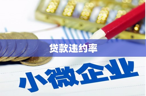 丰滨贷款违约率
