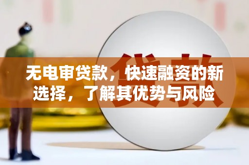 丰滨无电审贷款，快速融资的新选择，了解其优势与风险