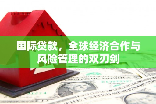 丰滨国际贷款，全球经济合作与风险管理的双刃剑