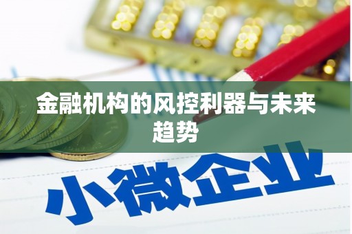 丰滨金融机构的风控利器与未来趋势