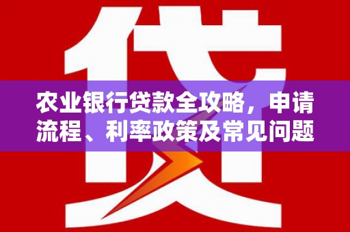 丰滨农业银行贷款全攻略，申请流程、利率政策及常见问题解析