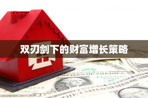 丰滨双刃剑下的财富增长策略