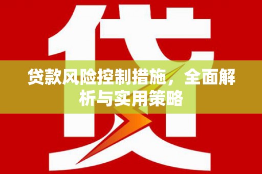 丰滨贷款风险控制措施，全面解析与实用策略