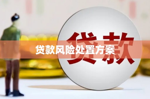 丰滨贷款风险处置方案