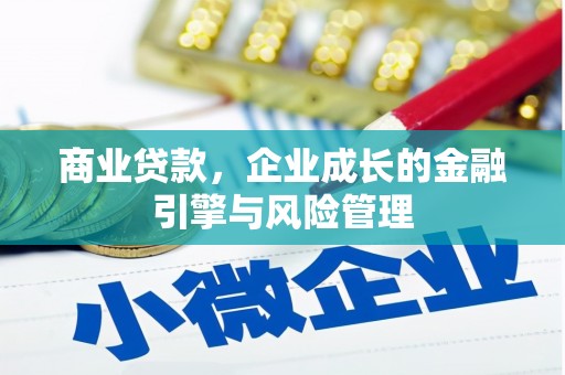 丰滨商业贷款，企业成长的金融引擎与风险管理