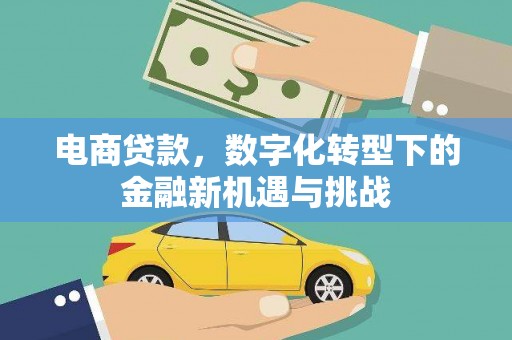 丰滨电商贷款，数字化转型下的金融新机遇与挑战