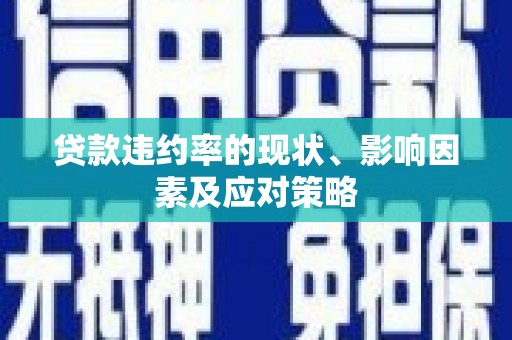丰滨贷款违约率的现状、影响因素及应对策略