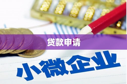 丰滨贷款申请