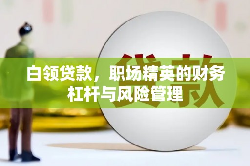 丰滨白领贷款，职场精英的财务杠杆与风险管理