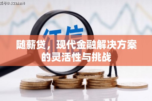 丰滨随薪贷，现代金融解决方案的灵活性与挑战