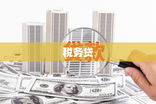 丰滨税务贷