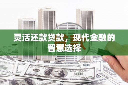 丰滨灵活还款贷款，现代金融的智慧选择