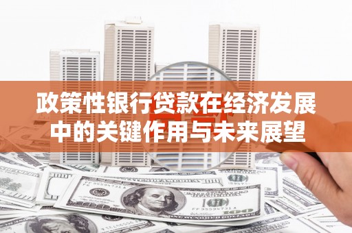 丰滨政策性银行贷款在经济发展中的关键作用与未来展望