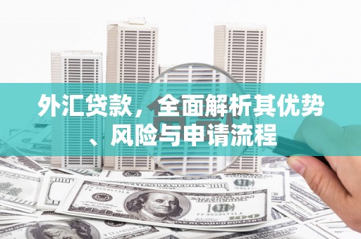 丰滨外汇贷款，全面解析其优势、风险与申请流程
