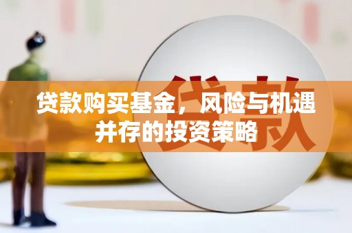 丰滨贷款购买基金，风险与机遇并存的投资策略