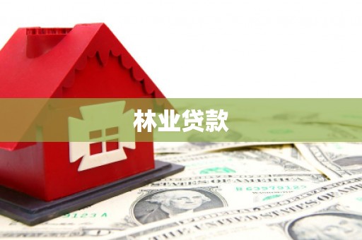 丰滨林业贷款
