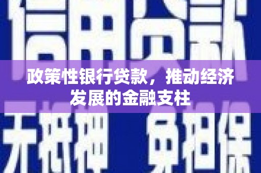 丰滨政策性银行贷款，推动经济发展的金融支柱