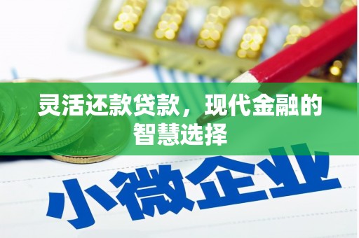 丰滨灵活还款贷款，现代金融的智慧选择