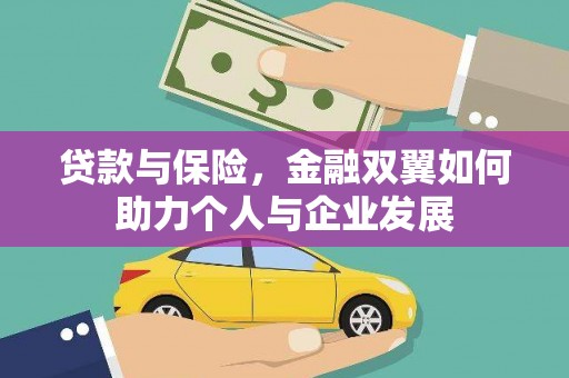 丰滨贷款与保险，金融双翼如何助力个人与企业发展
