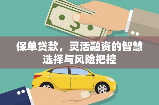 丰滨保单贷款，灵活融资的智慧选择与风险把控
