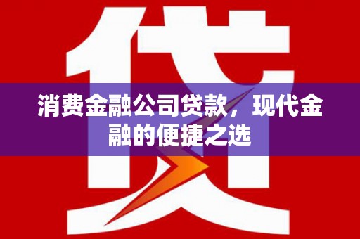 丰滨消费金融公司贷款，现代金融的便捷之选