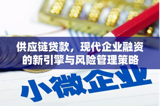丰滨供应链贷款，现代企业融资的新引擎与风险管理策略