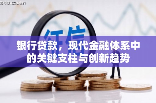 丰滨银行贷款，现代金融体系中的关键支柱与创新趋势