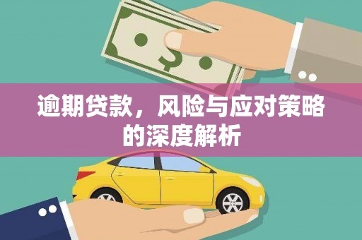 丰滨逾期贷款，风险与应对策略的深度解析