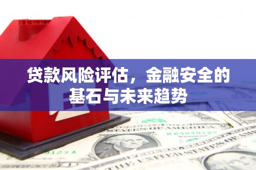 丰滨贷款风险评估，金融安全的基石与未来趋势