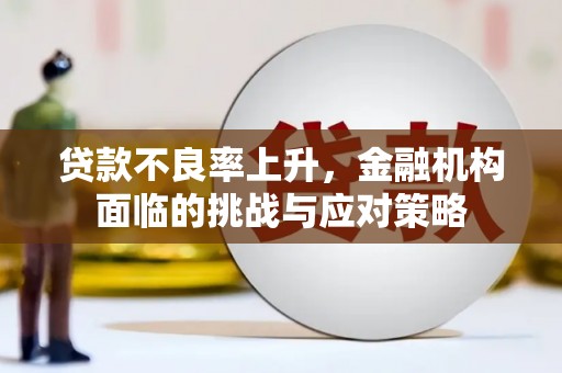 丰滨贷款不良率上升，金融机构面临的挑战与应对策略