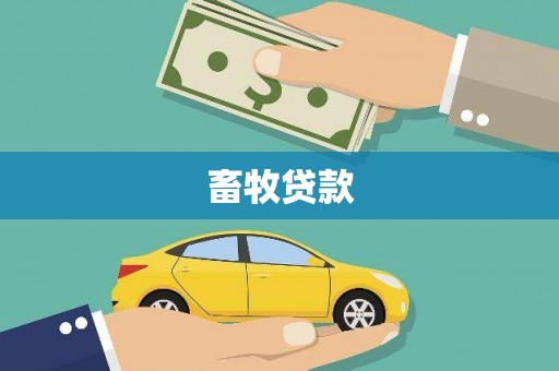 丰滨畜牧贷款