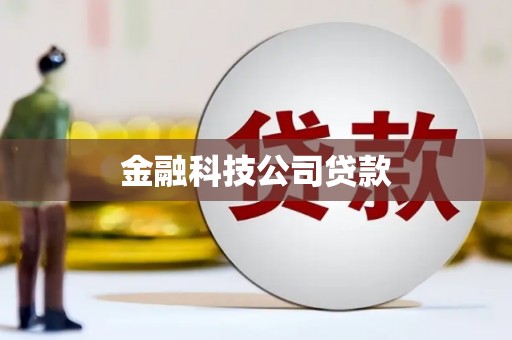 丰滨金融科技公司贷款