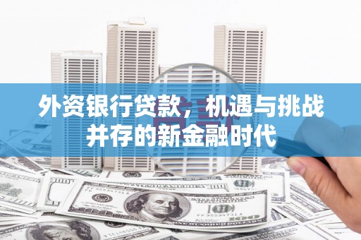 丰滨外资银行贷款，机遇与挑战并存的新金融时代