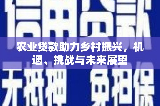 丰滨农业贷款助力乡村振兴，机遇、挑战与未来展望