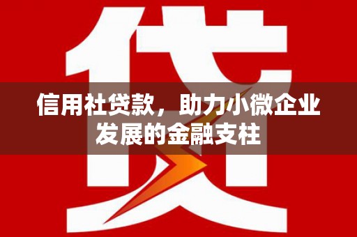 丰滨信用社贷款，助力小微企业发展的金融支柱