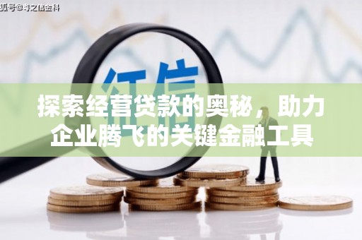 丰滨探索经营贷款的奥秘，助力企业腾飞的关键金融工具