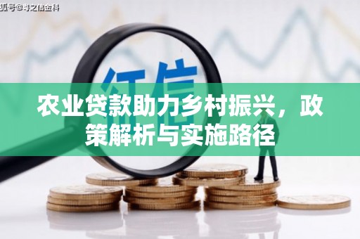 丰滨农业贷款助力乡村振兴，政策解析与实施路径
