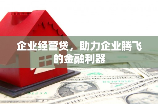 丰滨企业经营贷，助力企业腾飞的金融利器