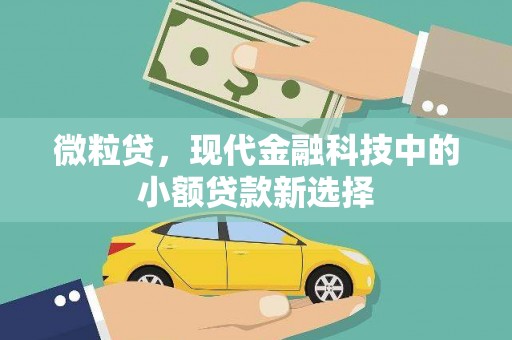 丰滨微粒贷，现代金融科技中的小额贷款新选择