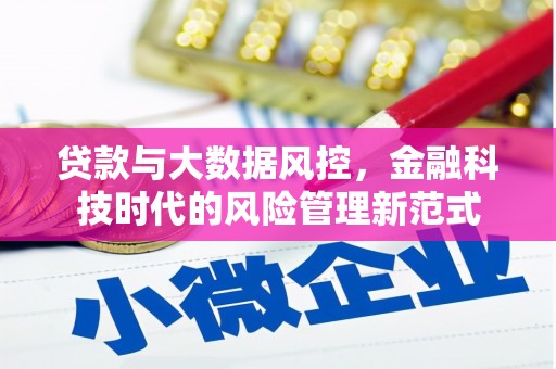 丰滨贷款与大数据风控，金融科技时代的风险管理新范式