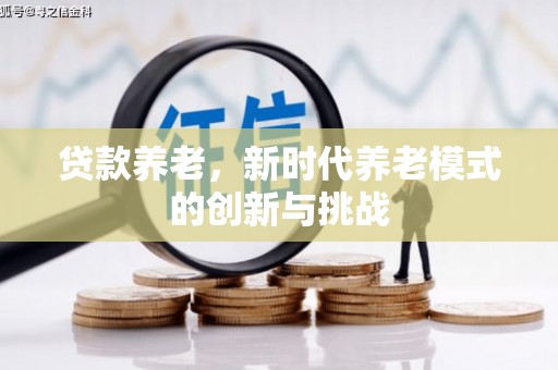 丰滨贷款养老，新时代养老模式的创新与挑战
