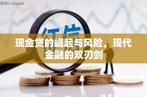 丰滨现金贷的崛起与风险，现代金融的双刃剑