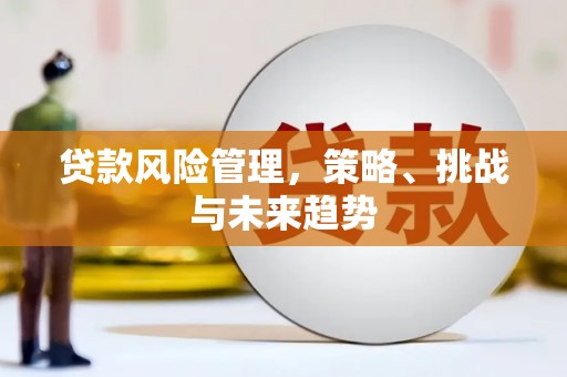 丰滨贷款风险管理，策略、挑战与未来趋势