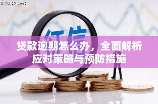 丰滨贷款逾期怎么办，全面解析应对策略与预防措施