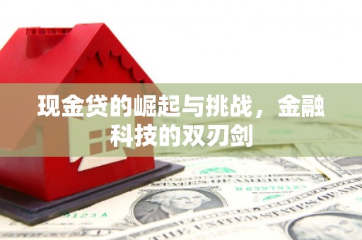 丰滨现金贷的崛起与挑战，金融科技的双刃剑