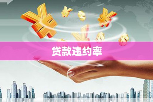 丰滨贷款违约率
