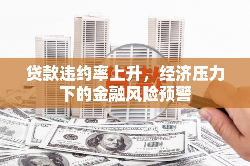 丰滨贷款违约率上升，经济压力下的金融风险预警