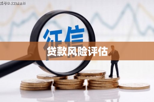 丰滨贷款风险评估