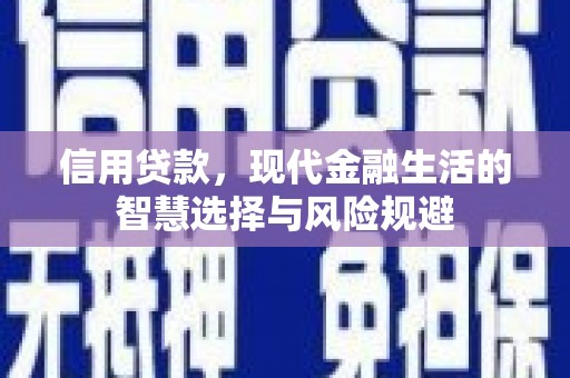 丰滨信用贷款，现代金融生活的智慧选择与风险规避