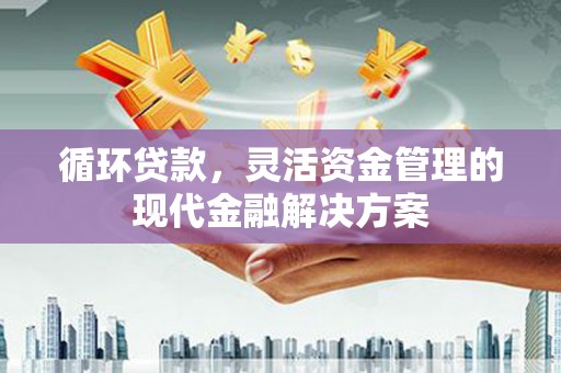 丰滨循环贷款，灵活资金管理的现代金融解决方案